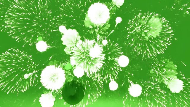 Abstract Green Dandelion Seed Explosion Animation.
