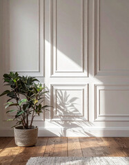 Fototapeta premium An elegant minimalist interior showcasing a classic white paneled wall with molding. A green potted plant sits on a parquet wooden floor as bright sunlight creates soft shadows.