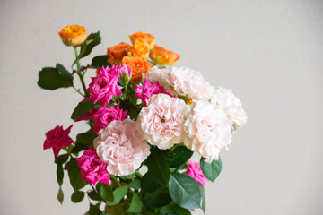 Fototapeta premium カラフルな薔薇