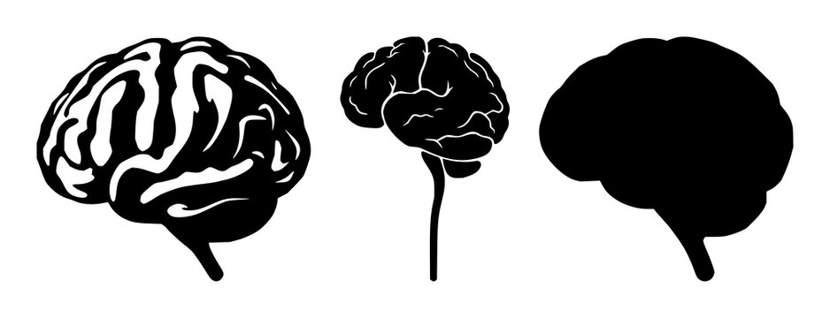 Brain synapse icon set with solid black design on white background featuring neurology, synapse, medical, iconography, vector