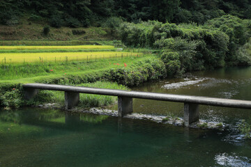 Naklejka premium 高知県中土佐町 高樋沈下橋の風景