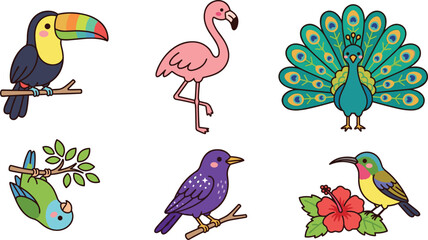 Fototapeta premium Cute Tropical Bird Cartoon Vector Illustration Set Featuring Toucan Flamingo Peacock Hummingbird and Colorful Exotic Avian Characters for Wildlife Nature Designs
