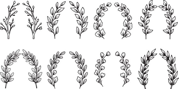 Collection of green leafy vegetable branch illustrations vector Vector