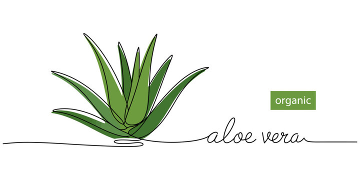Aloe Vera Line Art Images  Browse 4,042 Stock Photos, Vectors, and Video |  Adobe Stock