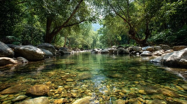 river in the forest
