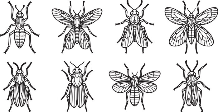 Black and white vector illustration of bumblebees collection Vector