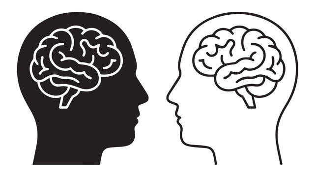 human head and brain