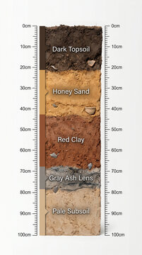 A vertical cross-section displays various soil layers. Dark topsoil sits on honey sand, followed by red clay, gray ash lens, and pale subsoil. Each layer has measurement markings in centimeters.