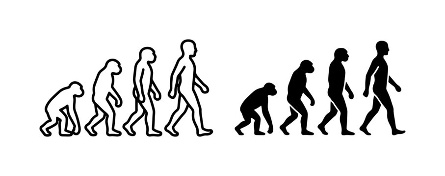 Human Evolution Stages, Ape to Man Progression, Science Concept, Vector Icons