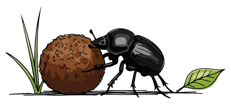 Dung beetle rolling organic ball on ground in colorful nature illustration style