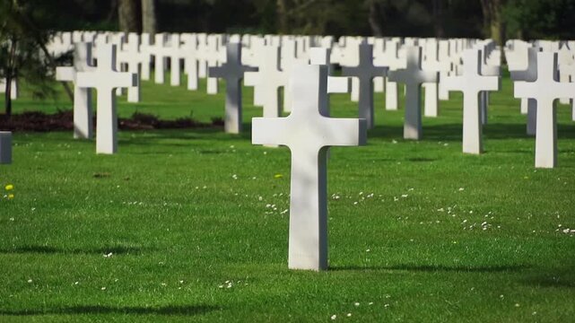 Rows of white crosses at American military cemetery. Memorial Day remembrance and tribute to fallen soldiers