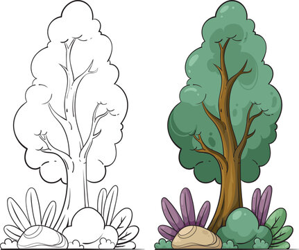 Tall Slender Pine Tree Cartoon Asset and Black and White Outline Sheet