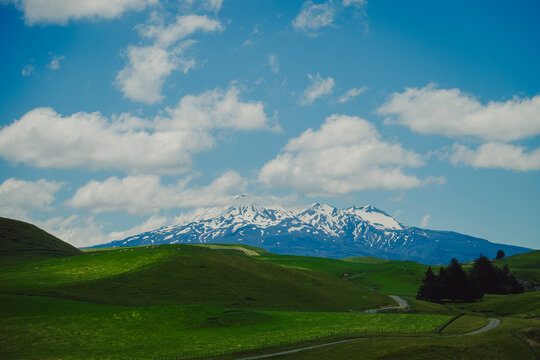 Snow capped mountain behind green fields in New Zealand