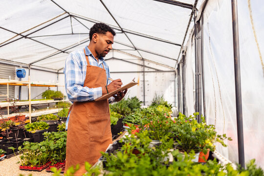 Farmer writing on clipboard inspecting crop in greenhouse