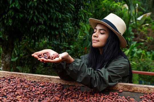 Woman farmer inspecting cacao bean harvest outdoors
