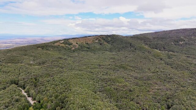 A cinematic aerial drone ascent over the dense green canopy of Reserva Nacional Magallanes near Punta Arenas, Chile, rising to reveal the vast mountain ridges and distant Patagonian steppe