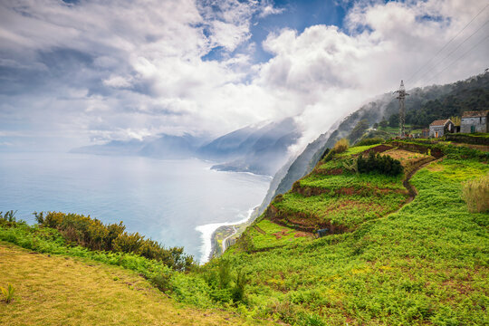 Misty terraced fields and cliffs at Arco de S�o Jorge, Madeira