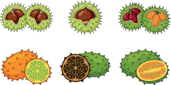 Exotic Tropical Fruit Vector Illustration Set Featuring Chestnut, Gac Fruit, Bitter Melon, and Spiky Organic Food Cartoon Designs