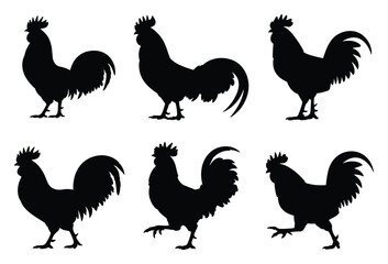 Set of six black rooster silhouettes isolated on a white background showing various standing and walking poses of male chickens with detailed tail feathers and combs © Jibit