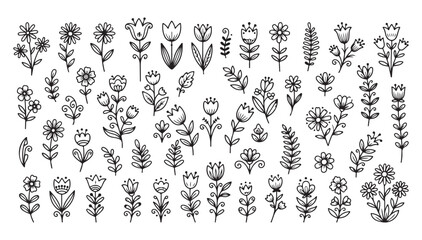 Fototapeta premium Set of hand drawn flowers and leaves doodle collection for creative design projects