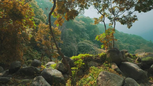 Traditional Indonesian Dancer Couple Standing on Forest Rocks