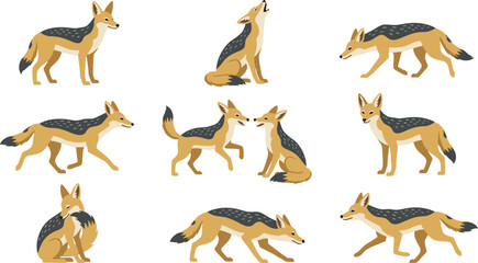 Black Backed Jackal Character Set with Various Poses Including Running, Howling, and Sitting for Wildlife Education, African Safari Graphics, and Nature Themed Vector Illustration Projects © MinnatunAkter