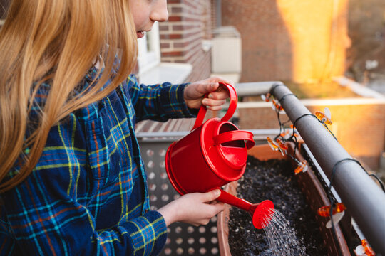 Girl watering balcony soil with a red watering can