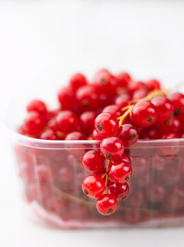 Fresh redcurrant in a plastic container indoors