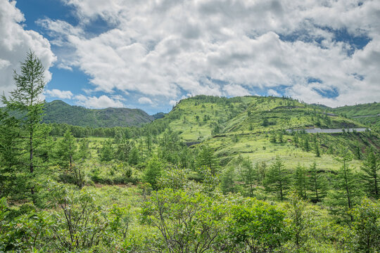 群馬県草津町・国道292号見晴台から望む夏の緑豊かな山並み風景