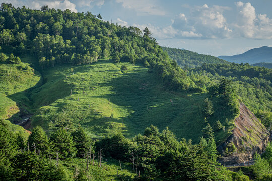 夏の万座温泉を包む緑豊かな山肌と高原の自然風景