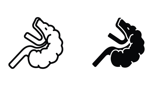 Human brain with highlighted hippocampus and amygdala vector illustration