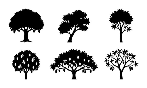 Six Silhouette Mango Trees Vector Icons, Tropical Fruit Orchard Plant Graphics, Organic Food Agriculture Symbols