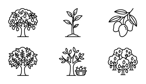 Mango Tree Icons, Fruit Harvest Vector Set, Tropical Plant Illustrations, Organic Food Graphics