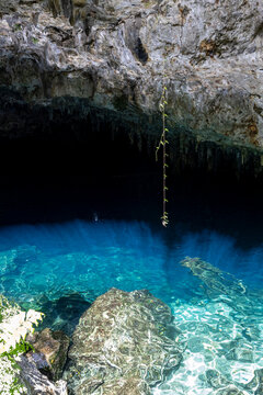 The ceiling of the cave from the Karst lake in Laguna El Dudu park in the dominican republic