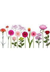 Obraz premium Collection of Various Colorful Spring Flowers and Blooms Isolated on White Background for Floral Design