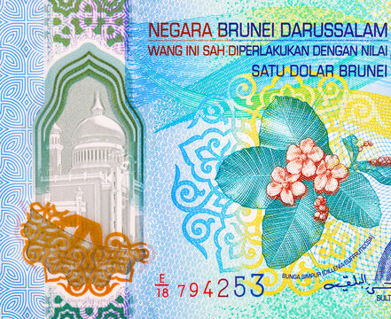 national Simpur flower on the obverse of a Brunei 1 Dollar polymer banknote. Detailed guilloche patterns and microprinting on Asian currency.
