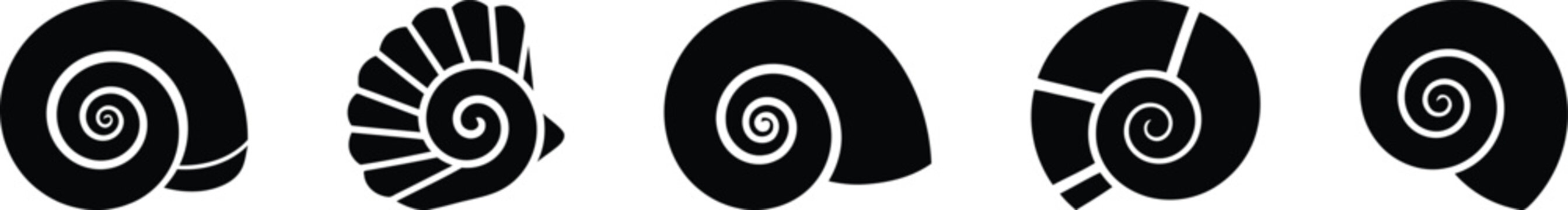 Set of five different black seashell silhouettes icons on a simple horizontal row isolated on transparent background, isolated on white background, Vector