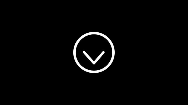 Chevron Down Arrow Circle Icon Loop Animation motion Video with alpha channel
