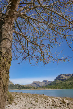 Mallorca, Spain - 15 Feb 2026: Cuber Reservoir in Mallorca's Tramuntana mountains