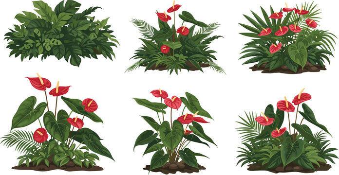 Vector tropical garden design elements collection featuring red anthurium flower beds bushes and lush green jungle foliage