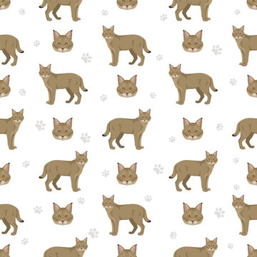 European wild cats. Jungle cat seamless pattern. Vector illustration
