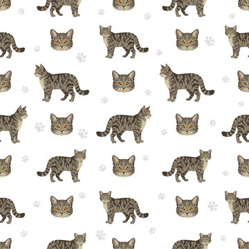 European wild cats. European wildcat seamless pattern. Vector illustration