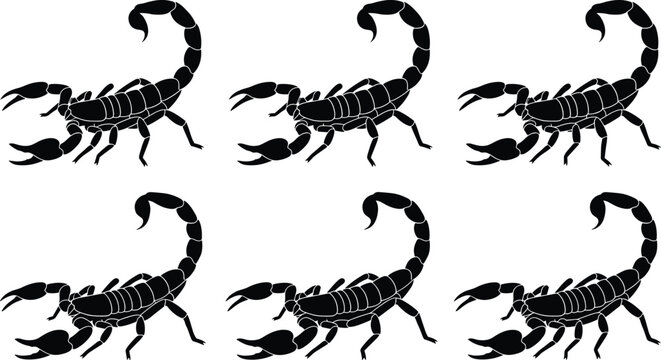 Black Scorpion Silhouette Collection with Dangerous Desert Arachnid Poses, Venomous Insect and Wildlife Vector Illustration Set