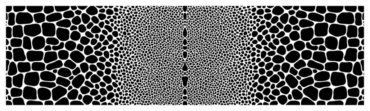 abstract stone pattern with irregular cell shapes and gradient density transition