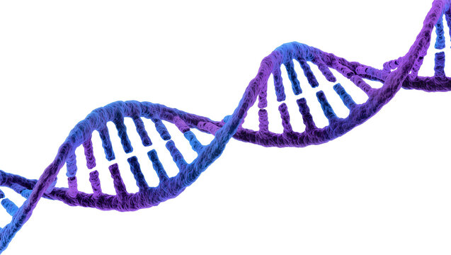 Isolated vibrant blue and purple DNA double helix molecular structure for genetic research