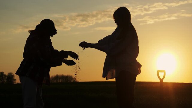Two female farmers examining soil quality in agricultural field at sunset during crop inspection outdoors.