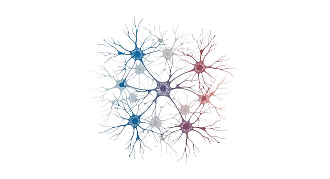Colorful neural network illustration with interconnected neurons and dendrites on white background