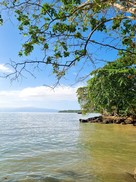 Scenic tropical beach view framed by green tree branches