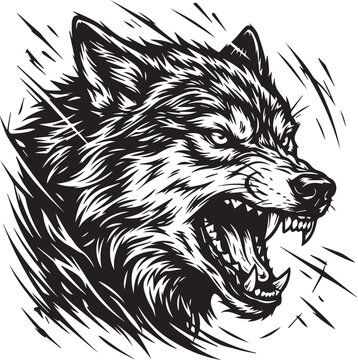 Aggressive wolf head vector illustration, snarling timber wolf mascot with bared teeth, black and white woodcut style predatory animal graphic