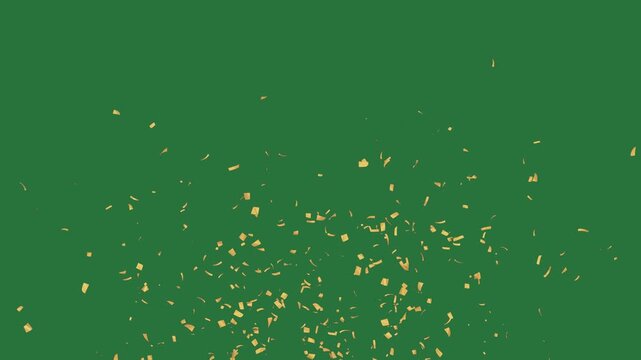 Animated Green Gold Yellow Flower Confetti Border Bunch Cones Flowers Green Screen Chroma Key Motion Graphic